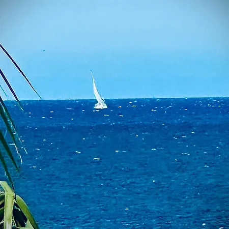 Seabreeze