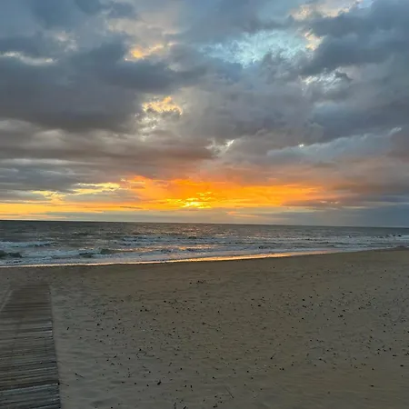 Seabreeze